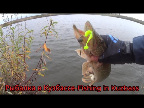 Видео: Пережидаем скачки воды на Томи на озере в Мамаевке.