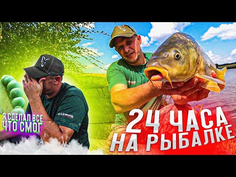 Видео: Ловля карпа в жару на пруду | что делать когда не клюёт | карпфишинг в Кущевской