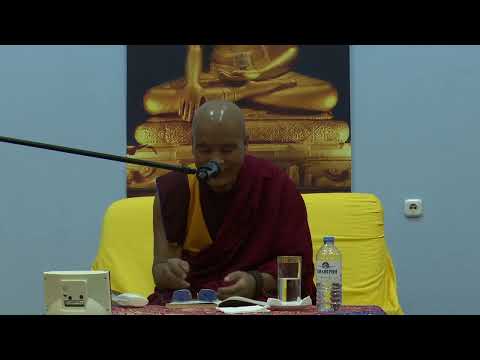 Видео: геше лхарамба Джагба Гьяцо - лекция по теме «Сознание и эмоции» (13.05.24)