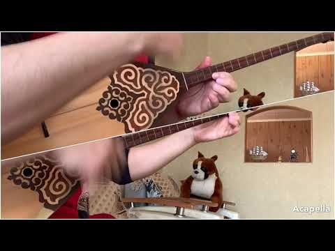 Видео: Каршыга Ахмедьяров "Алтын ұя",Заур Туяков