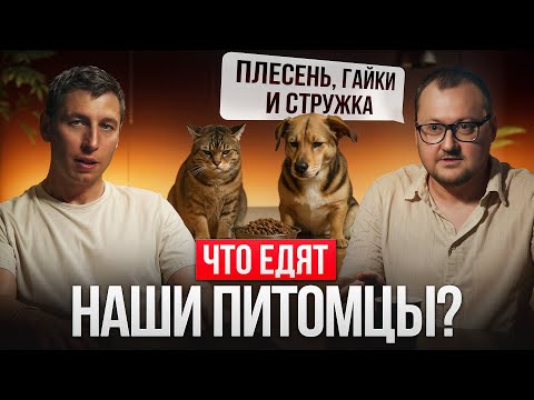 Видео: ВСЯ ПРАВДА О КОРМАХ ДЛЯ СОБАК И КОШЕК