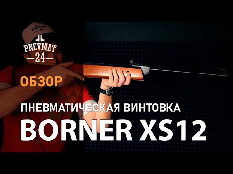 Видео: Пневматическая винтовка Borner XS12