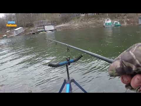 Видео: Зимовий фідер на ДНІСТРІ 01.02.20025р.Ловля плотви в затоці ДНІСТРА.Що робити коли рибка не активна.