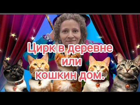 Видео: Цирк в деревне или кошкин дом. 