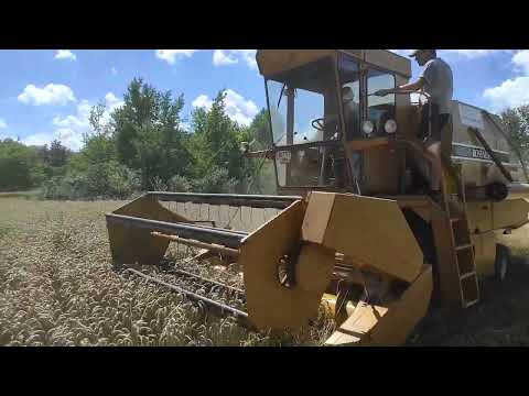 Видео: Сампо 500. Молотимо пшеницю. Знову поломка...
