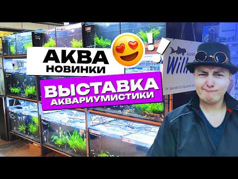 Видео: Очень интересная и крутая выставка аквариумистики, которая запомнится надолго! 4К
