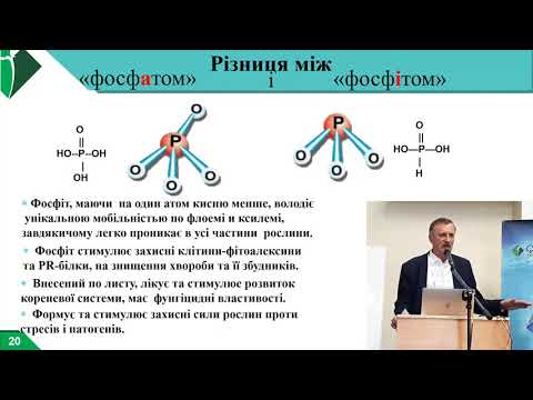 Видео: Третья часть семинара по питанию винограда 27.02.2021