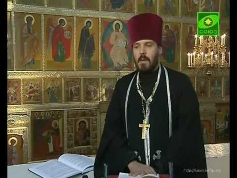 Видео: О.Евгений. О цыганах. Защита от зла (ч.2/2)