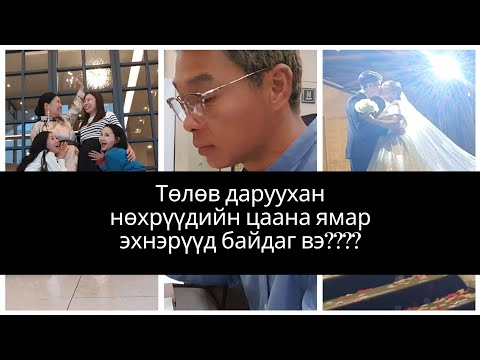 Видео: Ёооё манай найз ямар хүнтэй суусан гээч? Солонгос or Монгол🤵🏻👰🏻‍♀️♥️