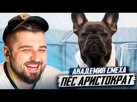 Видео: HARD PLAY РЕАКЦИЯ ПОПРОБУЙ НЕ ЗАСМЕЯТЬСЯ / 656 СЕКУНД СМЕХА / ЛУЧШИЕ ПРИКОЛЫ / СМЕШНЫЕ ВИДЕО 2024