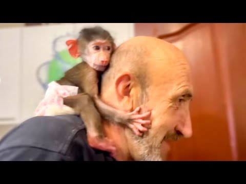 Видео: Люси нет и Степка занял ее место не ШЕЕ  Влада)))