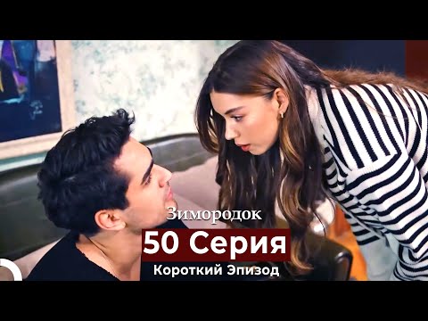 Видео: Зимородок 50 Cерия (Короткий Эпизод) (Русский дубляж)