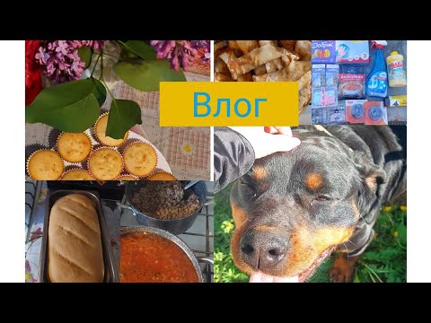 Видео: #Новий Влог#Покупки#Аврора#Наше меню🍲🥘