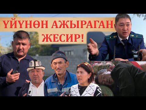Видео: КАЙНАГАСЫНА, КАЙНЕЖЕСИНЕ ҮЙҮН ЖЕРИН АЛДАТЫП ЖИБЕРНЕН ЖЕСИР КЕЛИН!