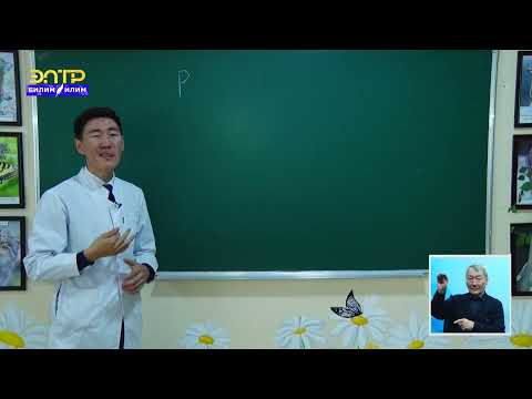 Видео: ГЕНЕТИКА.  2-сабак.