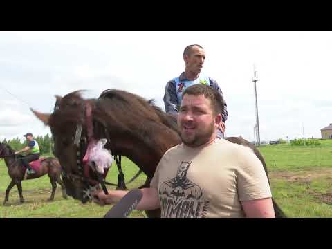 Видео: В Мамадыше состоялся районный Сабантуй