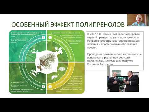 Видео: Жизненно важная роль полипренолов для поддержания здоровья печени и мозга.