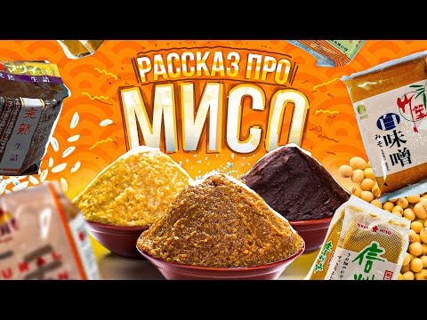 Видео: РАССКАЗ ПРО МИСО | ЧТО ДЕЛАТЬ С МИСО