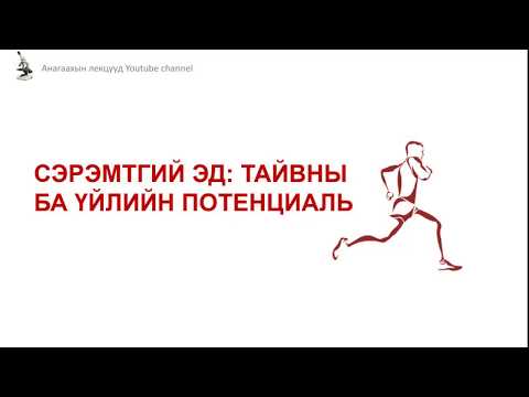 Видео: Физиологи I Сэрэмтгий эд: Тайвны ба үйлийн потенциаль