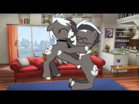 Видео: лучший друг