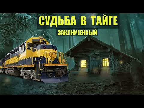 Видео: ПОБЕГ из ТЮРЬМЫ ЗАКЛЮЧЕННЫЙ ОТШЕЛЬНИК в ЛЕСУ СУДЬБА СЛУЧАЙ в ТАЙГЕ ИСТОРИИ из ЖИЗНИ ЗОНА ТЮРЬМА