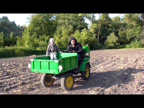 Видео: Мини Т-16 снова выручает!!! Уборка кормовой свёклы.