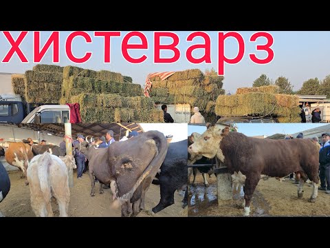 Видео: 24 октября 2025 Г.МОЛБОЗОРИ ХИСТЕВАРЗ ТОЖИКИСТОН molbozor 