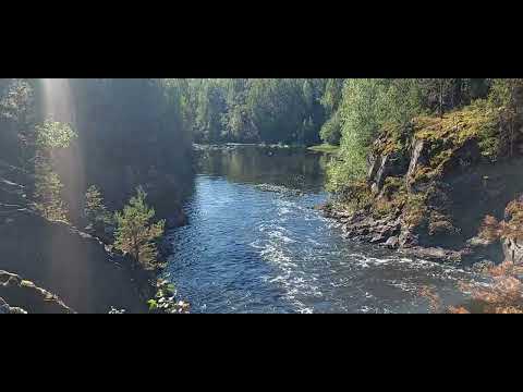 Видео: Водопад Кивач в Карелии