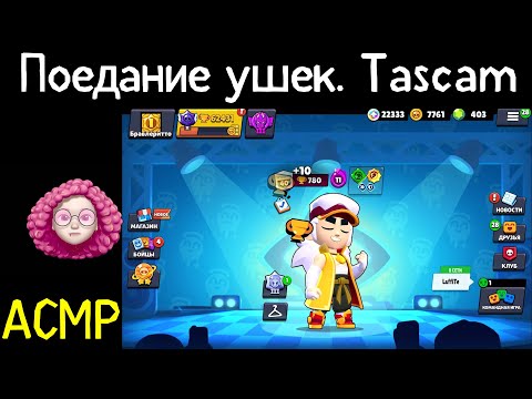 Видео: АСМР Поедание Ушей Tascam
