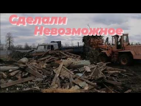 Видео: Убрали заросший участок за 3 недели, соседи в шоке😱купили дом в деревне