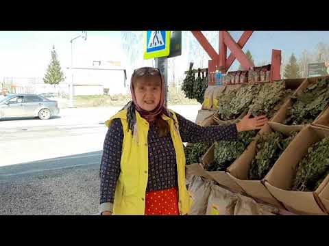 Видео: Первая торговля на трассе. Как все прошло🤗