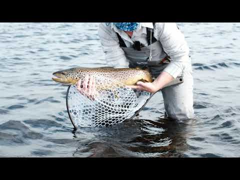 Видео: В поисках леопардовых пятен. Реликтовая форель Верхней Варзины.