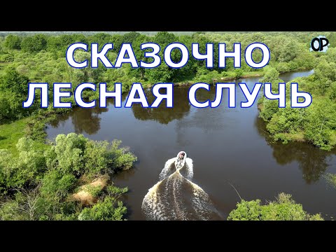 Видео: ЛЕСНАЯ СЛУЧЬ Дикая, строптивая и очень красивая река