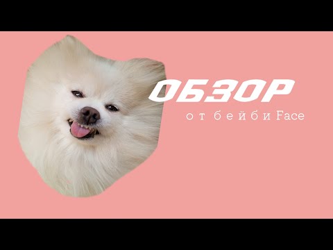 Видео: Обзор на всю амуницию моей собаки)