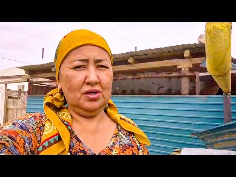 Видео: Шошып кеттім қораны шашып кетіпті.Мұндай жағдай бірінші рет болды Влог.
