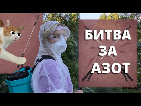 Видео: ПОДКОРМКА РОЗ ПОСЛЕ ПЕРВОГО ЦВЕТЕНИЯ. Готовимся ко второй волне. 29 июля 2024 г.