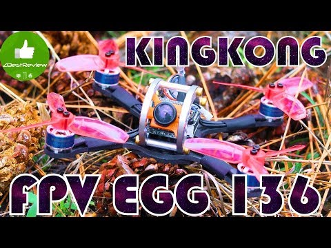 Видео: ✔ Обзор идеального FPV Квадрокоптера KiNGKONG FPV EGG 136mm! Banggood!