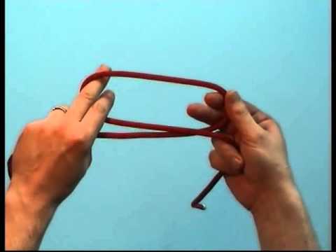 Видео: Констриктор