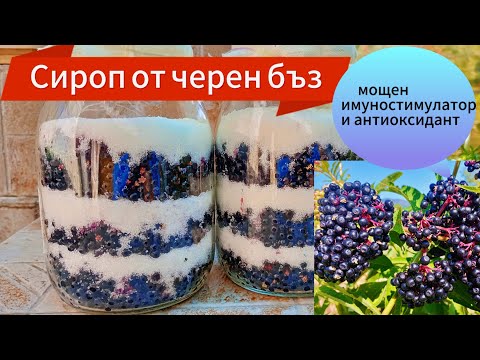 Видео: Сироп от черен бъз
