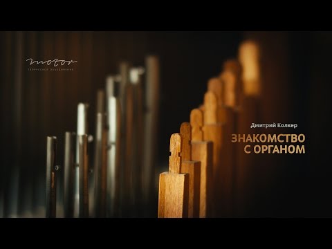 Видео: Дмитрий Колкер. Знакомство с органом