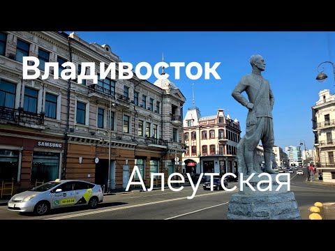 Видео: Владивосток 🇷🇺 🌊 ⚓️ Алеуты здесь живут? Оскар в студию.
