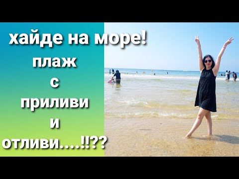 Видео: КОРЕЯ ВЛОГ/ КАК ЛЕТУВАТ В КОРЕЯ / ВПЕЧАТЛЕНИЯ ОТ ПЛАЖЪТ