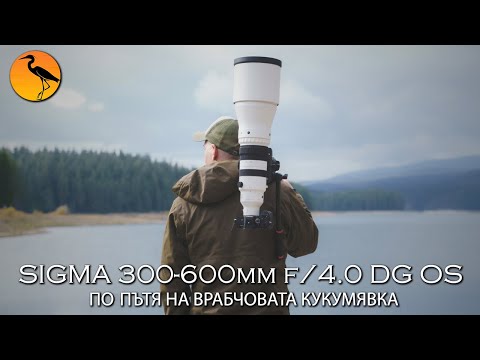 Видео: SIGMA 300-600mm F/4.0 DG OS / ПРЕДСТАВЯНЕ / ПО ПЪТЯ НА ВРАБЧОВАТА КУКУМЯВКА