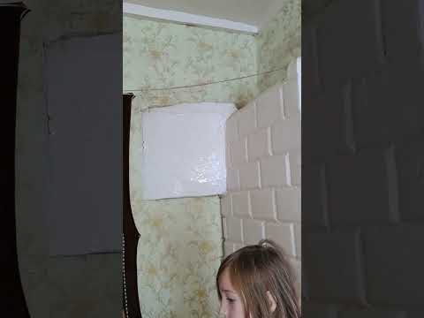 Видео: дом который покупаем 1