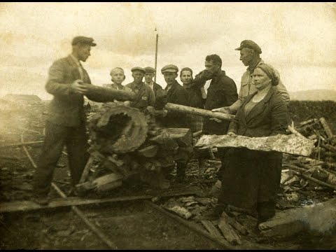 Видео: Леспромхоз