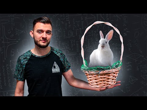 Видео: ПРИНЦИП ДИРИХЛЕ в Олимпиадной Математике