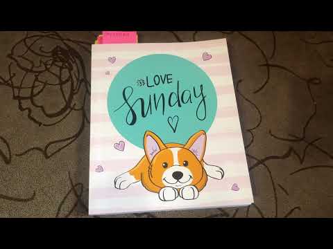 Видео: Прогулка с собачками в парке, блокнот про моих собачек 🐶🐶🐶🐶