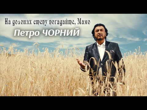 Видео: Петро Чорний - На долонях степу погадайте, Мамо  (ПРЕМ'ЄРА КЛІПУ)
