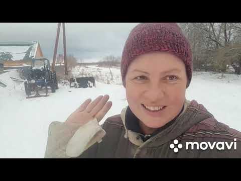 Видео: Зимнее содержание коров и телят