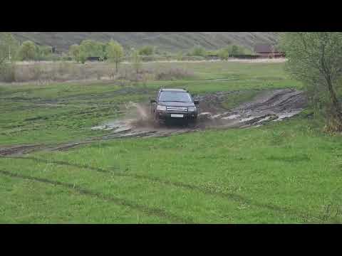 Видео: Фрилендер резвится